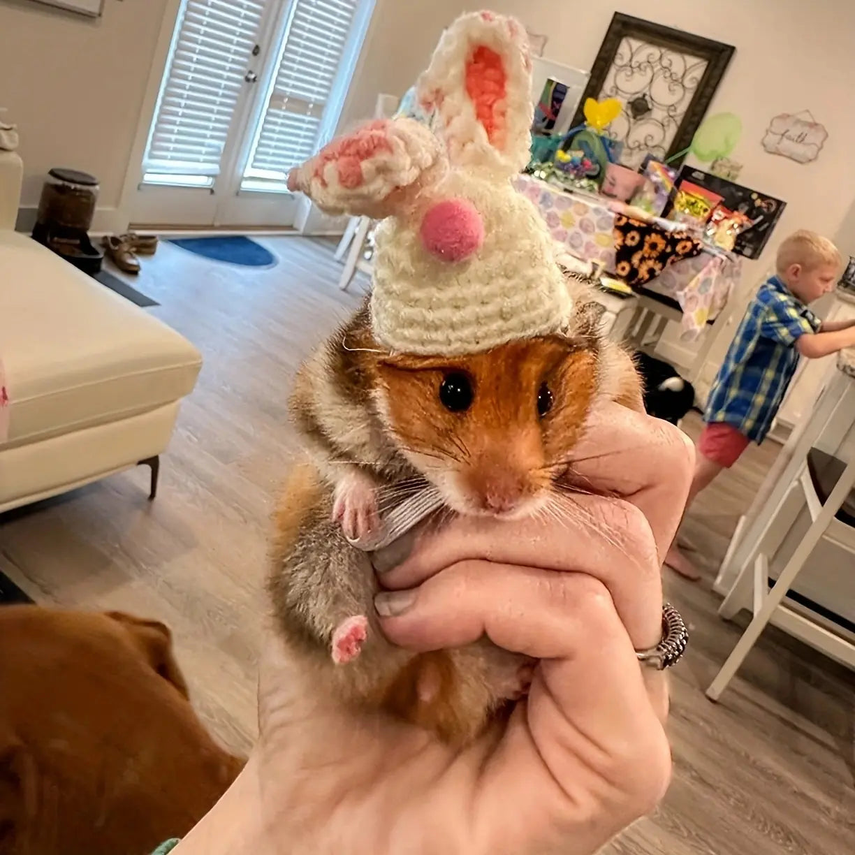 6 Pieces Random Hamster Hat, Mini Critter Hat with Adjustable Strap, Cute Hand Knit Frog Rainbow Carrot Small Hat, Lizard Guinea Pig Reptile Costume