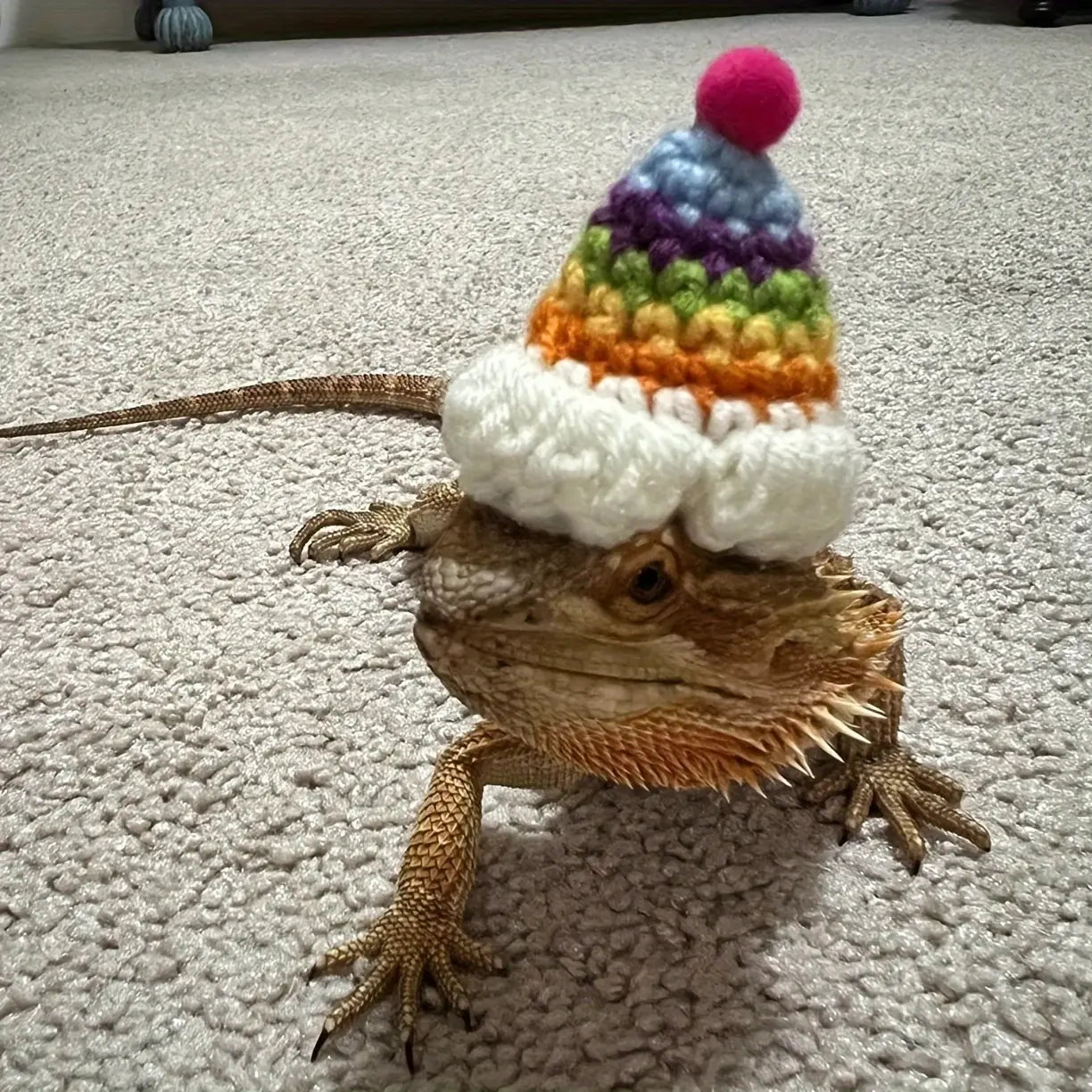 6 Pieces Random Hamster Hat, Mini Critter Hat with Adjustable Strap, Cute Hand Knit Frog Rainbow Carrot Small Hat, Lizard Guinea Pig Reptile Costume