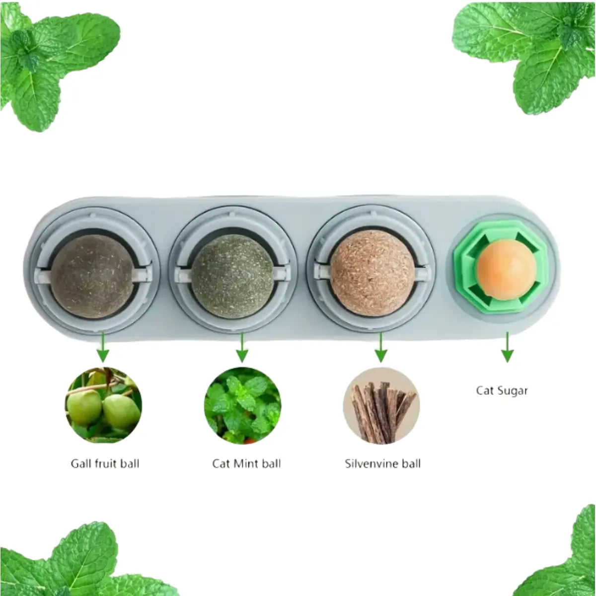 Catnip Ball,4Pcs, Extra Cat Energy Ball,Natural Catnip, Silvervine, Fruit of Silvervine and Dental Chew Toys for Healthy Teeth Cleaning