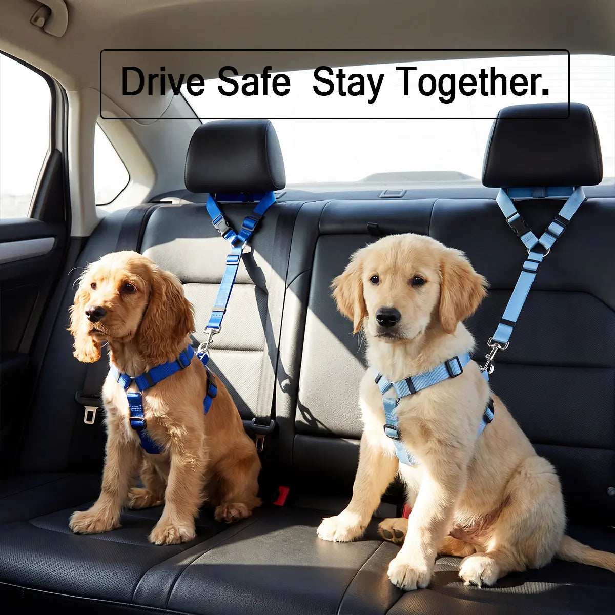 Adjustable Sky Blue Dog Car Safety Harness & Leash Set - Universal Fit for SUVs & Trucks with Dual LED Bungee Chew Toy & Inflatable Balls
