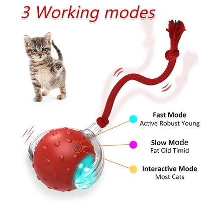 Automatic Interactive Cat Toy Ball with Motion Activation and Chirping Sounds for Indoor Cats