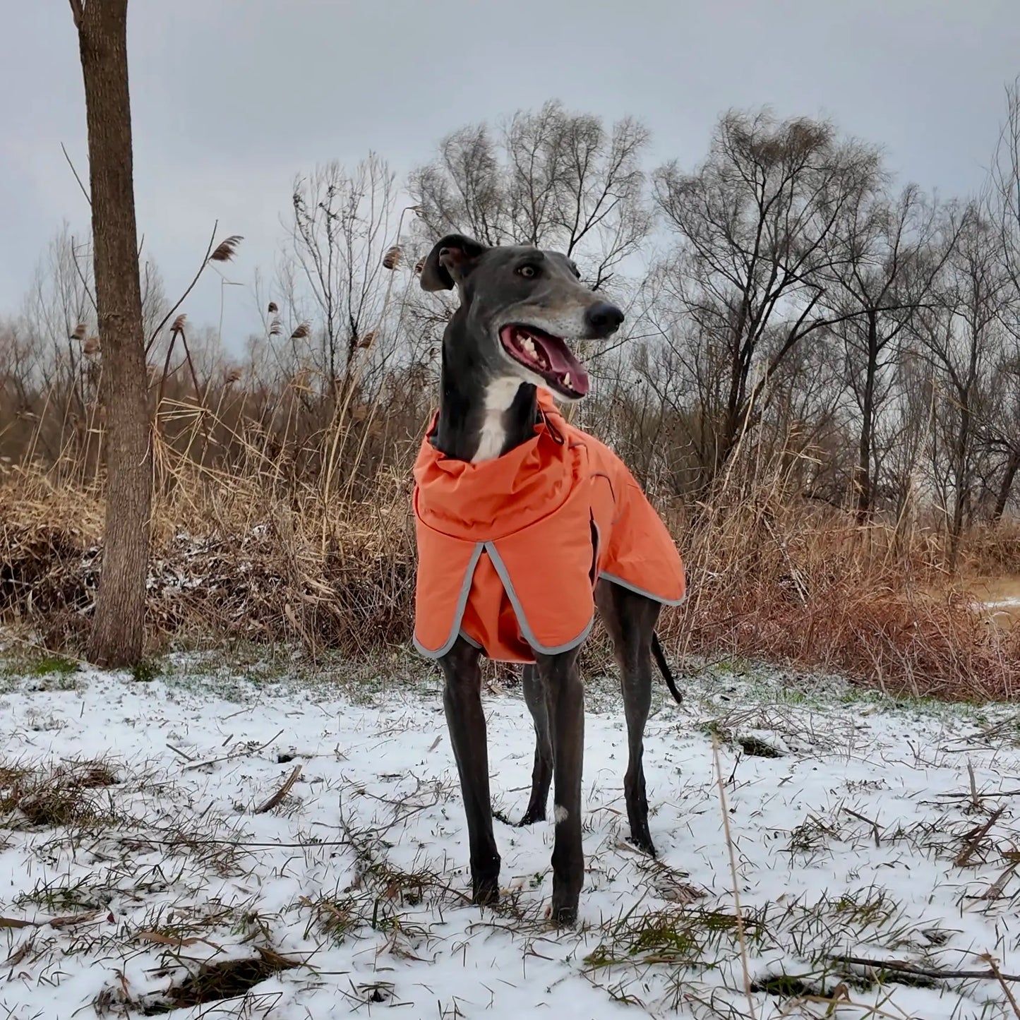 Winter Reflective Adjustable Dog Coat | Warm Thick Fleece Snow Suit for Small Medium and Large Dogs, Durable Dog Winter Jacket, Pet Warm Dog Plush Vest Style Practical