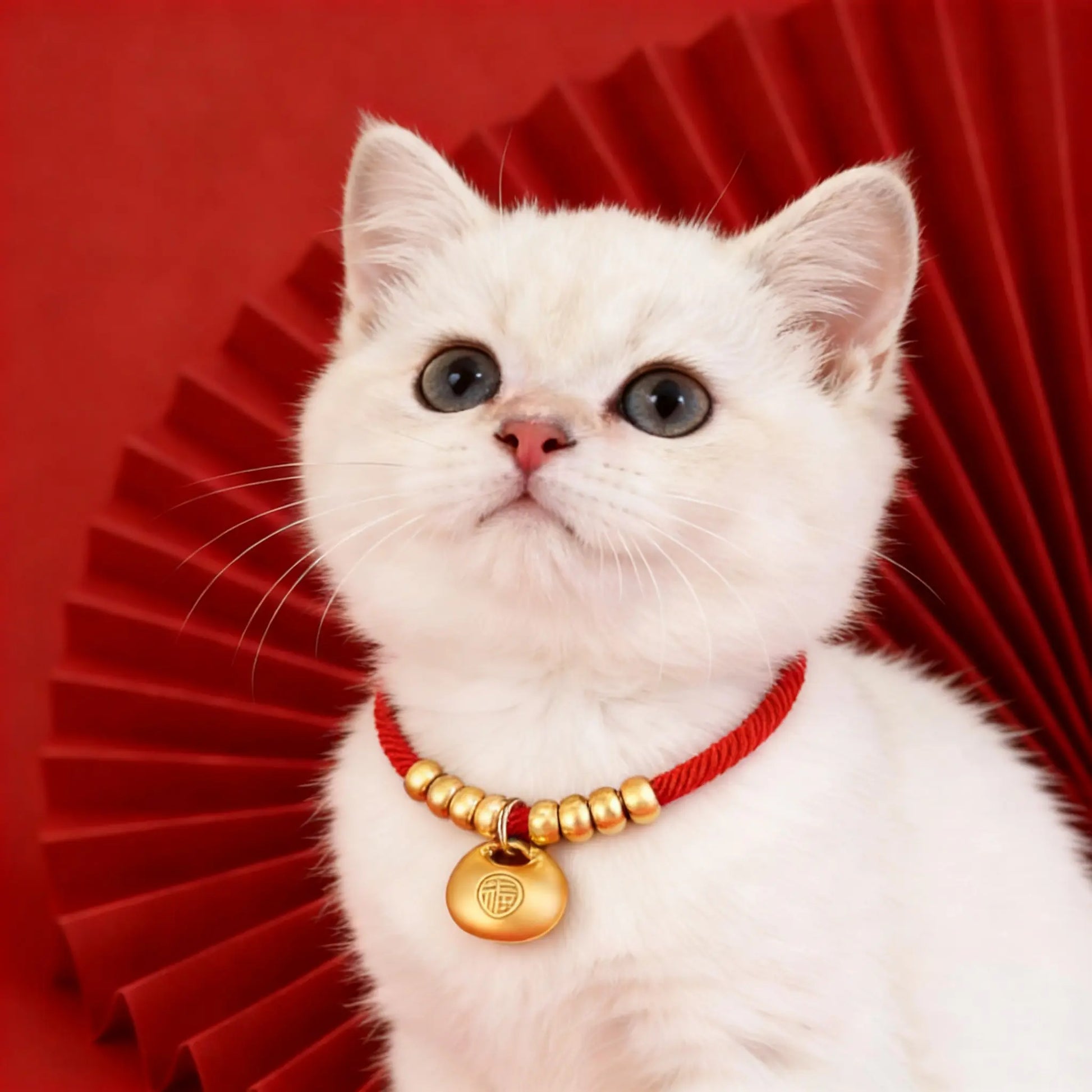 Adjustable Pet Necklace with Yuanbao Pendant, Pet Collar，Pet Decorative Accessories，Fashion Durable Design for Cats, Kitten and Small Dogs, New Year Blessing Gift