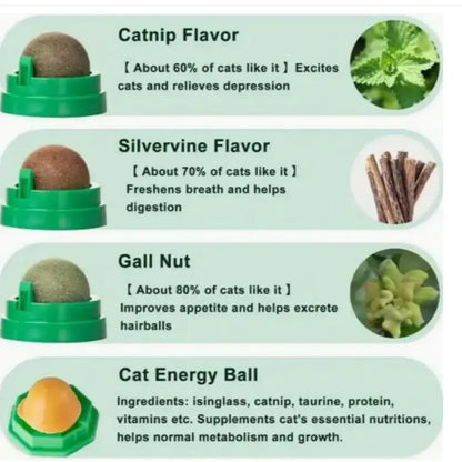 Catnip Ball,4Pcs, Extra Cat Energy Ball,Natural Catnip, Silvervine, Fruit of Silvervine and Dental Chew Toys for Healthy Teeth Cleaning