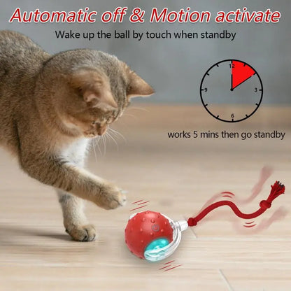 Automatic Interactive Cat Toy Ball with Motion Activation and Chirping Sounds for Indoor Cats