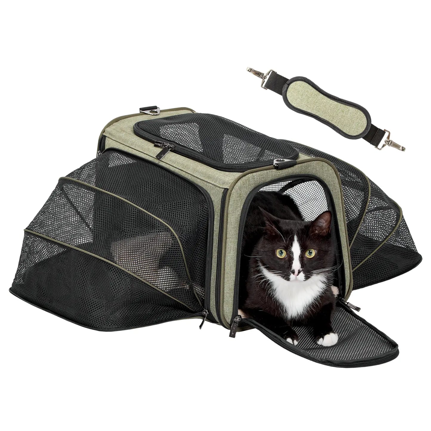 [5-Year Warranty] Petsfit Expandable Cat Dog Carrier Airline Approved, 17" L X 11" W X 11" H Soft-Sided Portable Pet Travel Carrier for Kitten, Puppy, Removable Soft Plush Mat and Pockets, Auto-Locking Zippers