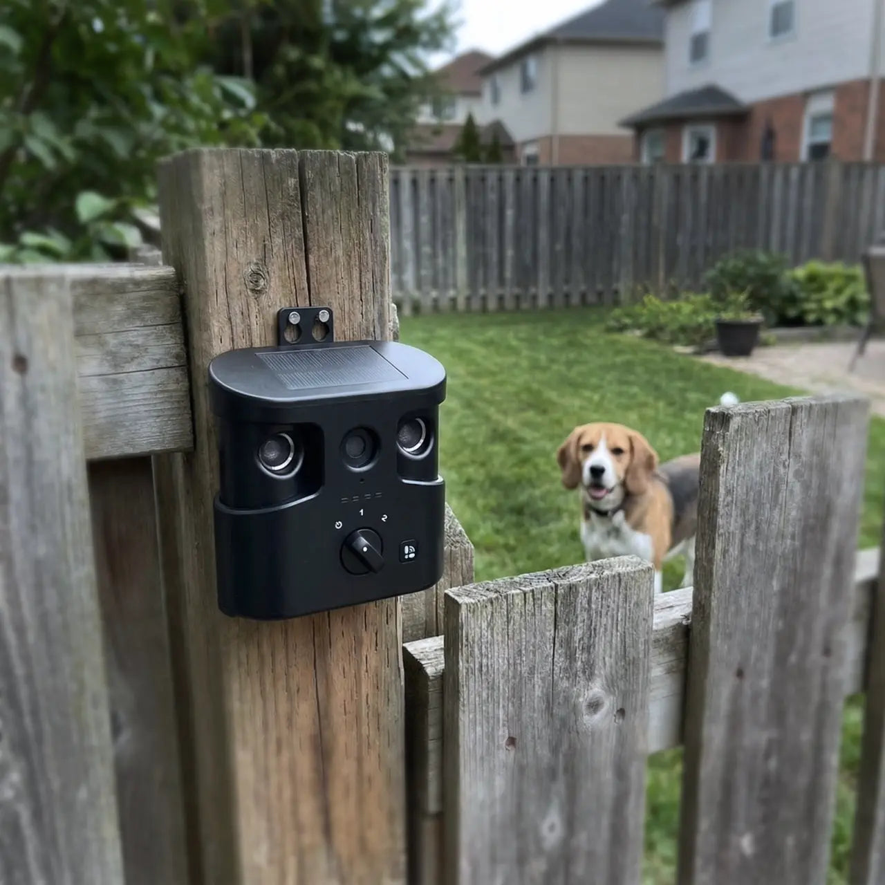 180° Solar-Powered Ultrasonic Dog Bark Control Device - Humane Anti-Barking Solution for All Breeds, IPX4 Waterproof, Dual Speakers, Adjustable Frequency, and APP Data Reporting, Ideal Dog Accessories