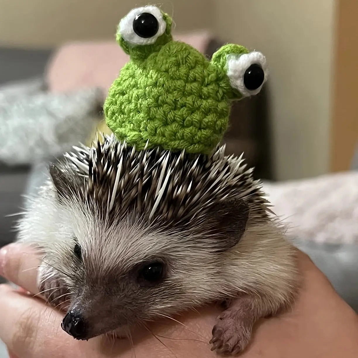 6 Pieces Random Hamster Hat, Mini Critter Hat with Adjustable Strap, Cute Hand Knit Frog Rainbow Carrot Small Hat, Lizard Guinea Pig Reptile Costume