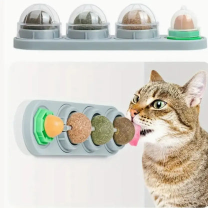 Catnip Ball,4Pcs, Extra Cat Energy Ball,Natural Catnip, Silvervine, Fruit of Silvervine and Dental Chew Toys for Healthy Teeth Cleaning