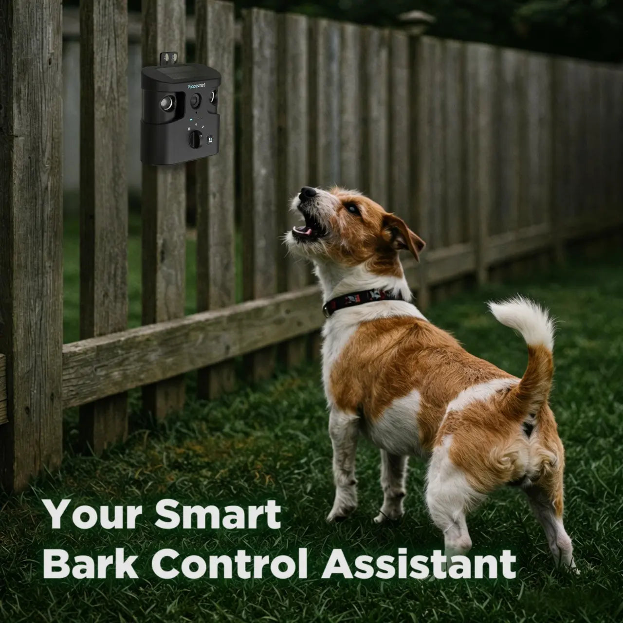 180° Solar-Powered Ultrasonic Dog Bark Control Device - Humane Anti-Barking Solution for All Breeds, IPX4 Waterproof, Dual Speakers, Adjustable Frequency, and APP Data Reporting, Ideal Dog Accessories