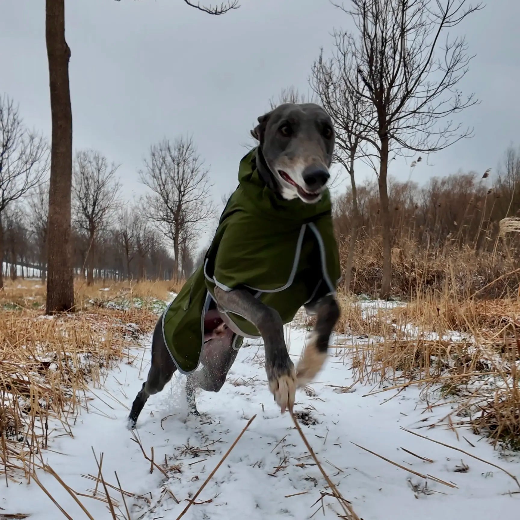Winter Reflective Adjustable Dog Coat | Warm Thick Fleece Snow Suit for Small Medium and Large Dogs, Durable Dog Winter Jacket, Pet Warm Dog Plush Vest Style Practical