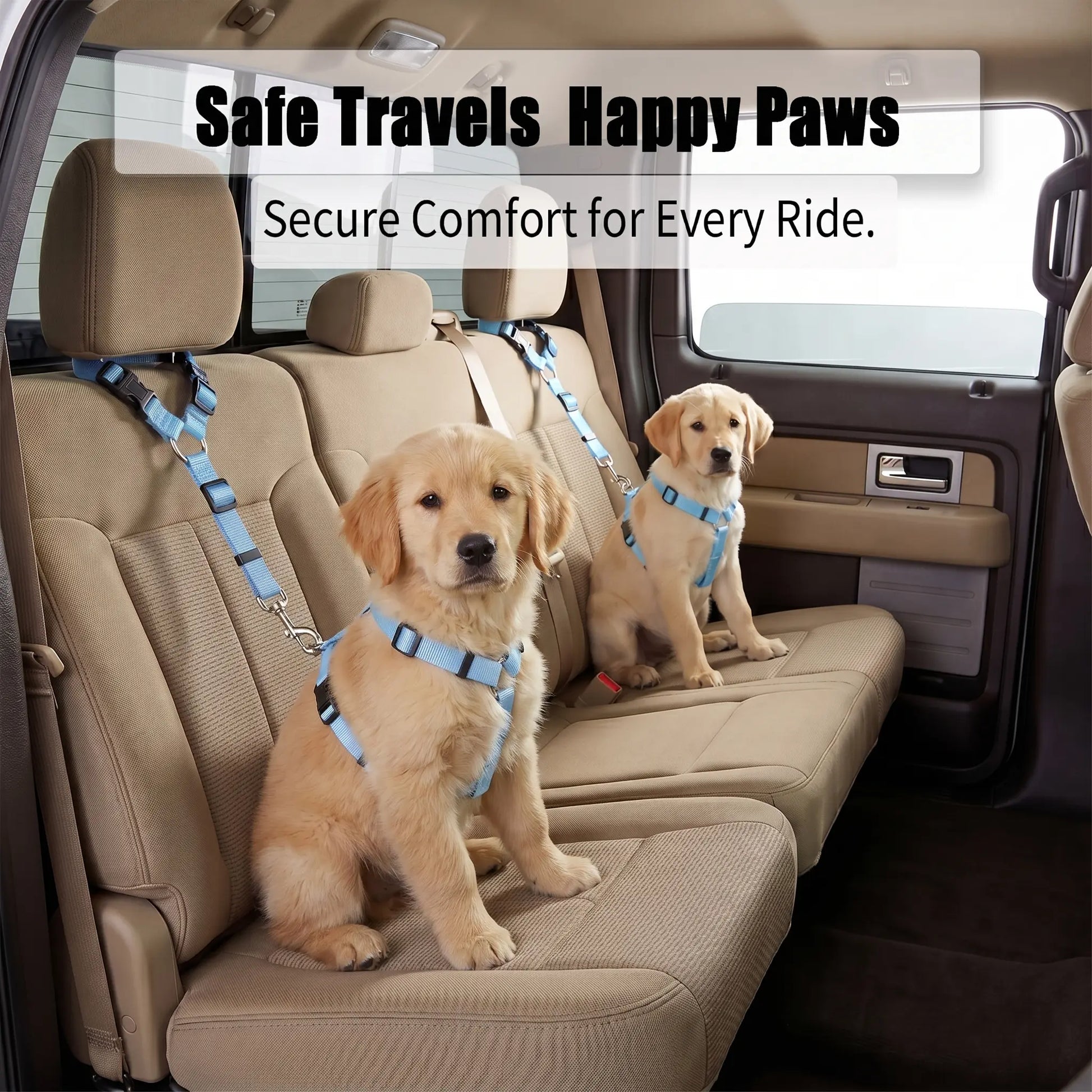 Adjustable Sky Blue Dog Car Safety Harness & Leash Set - Universal Fit for SUVs & Trucks with Dual LED Bungee Chew Toy & Inflatable Balls
