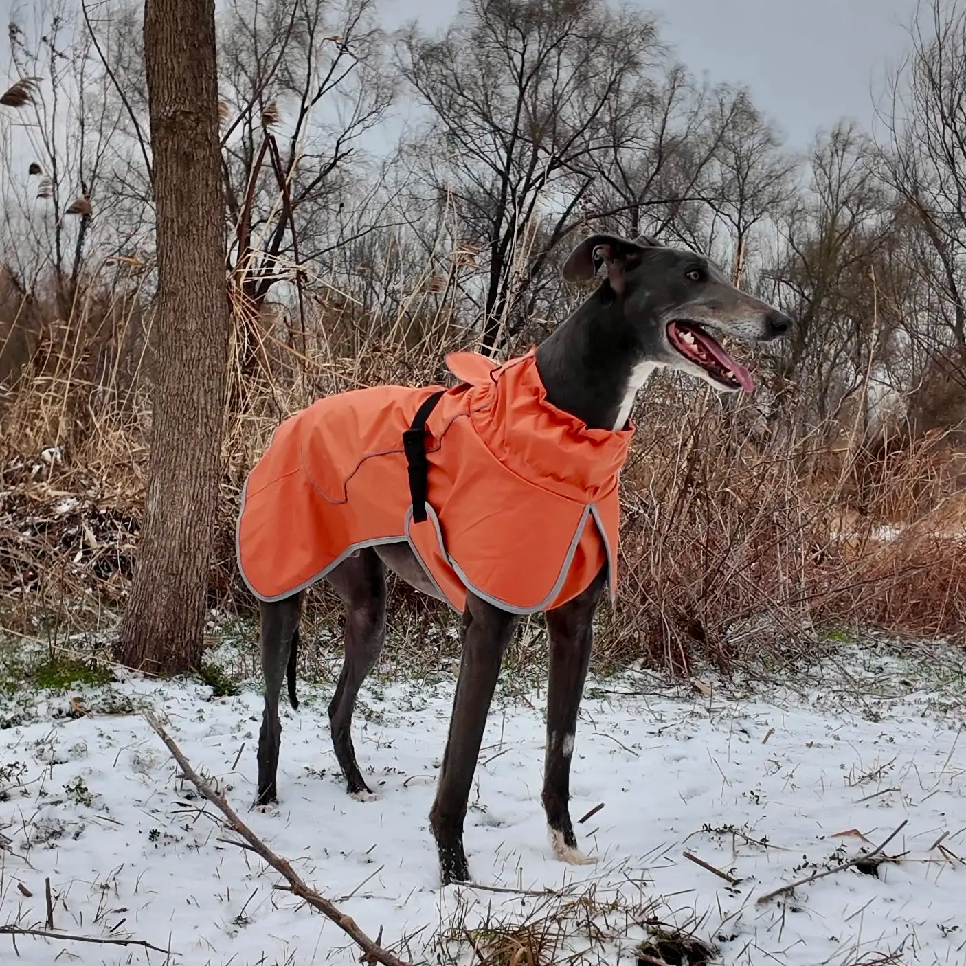 Winter Reflective Adjustable Dog Coat | Warm Thick Fleece Snow Suit for Small Medium and Large Dogs, Durable Dog Winter Jacket, Pet Warm Dog Plush Vest Style Practical